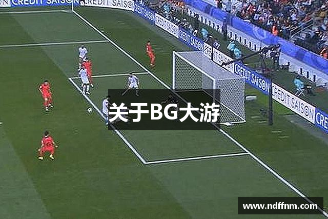 关于BG大游